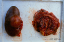 1.3.017	Hemorragia en sufusión y equimosis en la mucosa de la vejiga urinaria de un semental porcino_1
