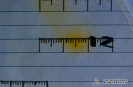  2.2.018 Suero de equino no. 21 reactor positivo a la prueba de dig-elisa se aprecia el halo de color amarillo-naranjado (Por la posición de la caja de petri la numeración aparece invertida)_1